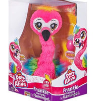 Pets Live Frankie O Flamingo Dançarino